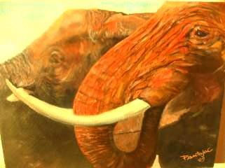 Rojo Africano Oil Canvas Animals