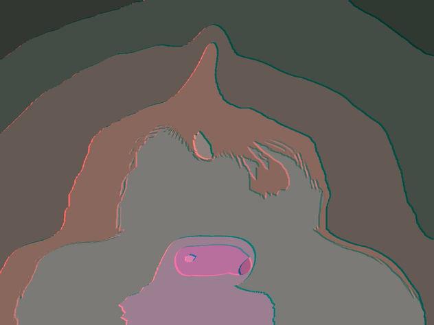 AMORFO CXXVII