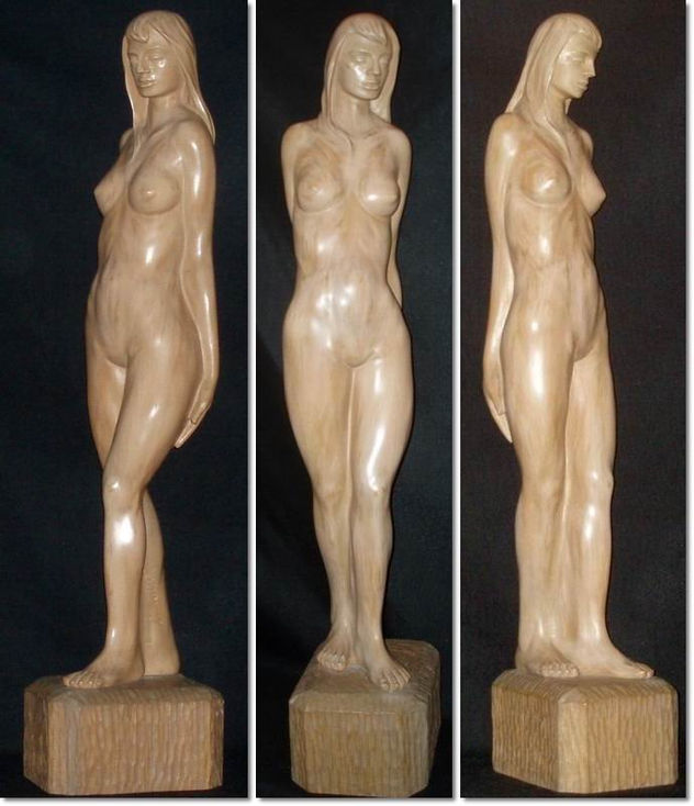 Desnudo femenino (12)