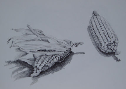 Mazorcas