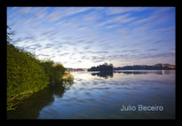 Amanecer en el pantano