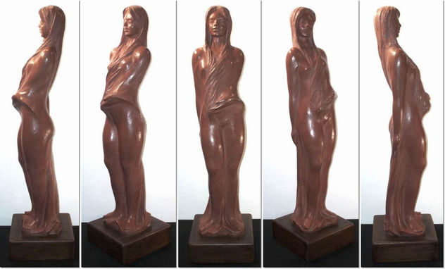 Desnudo femenino (20)