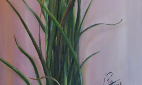 Naturaleza