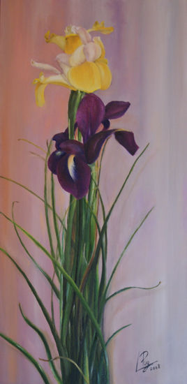 Iris Óleo Lienzo Floral