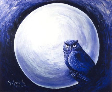 Buho y luna