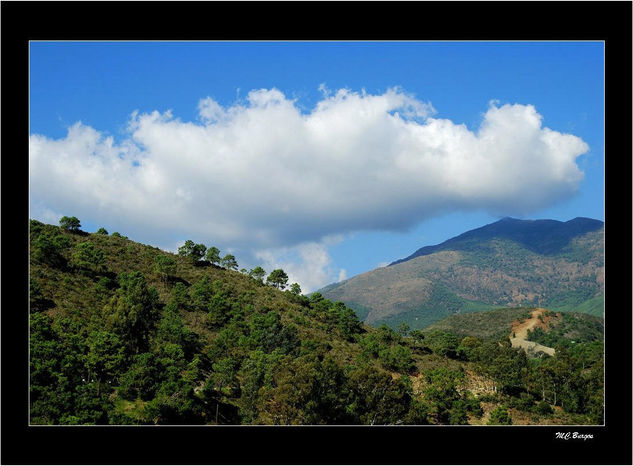 Cielo y Tierra Nature Color (Digital)