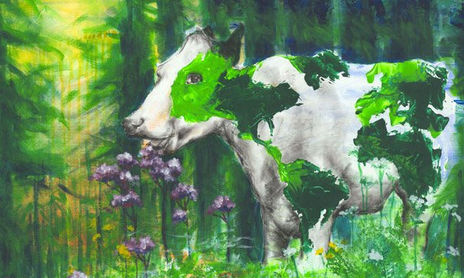 Una Vision Animal