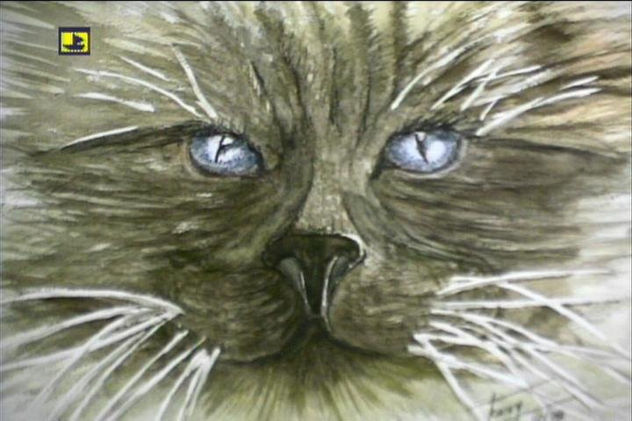 ANGORA