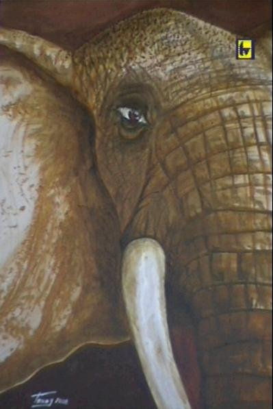 Elefante