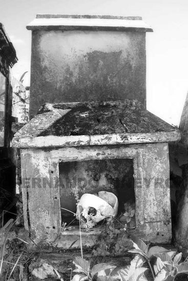 Cementerio VI Other Themes Black and White (Digital)