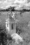 Cementerio XII