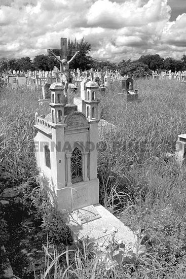 Cementerio XII Otras temáticas Blanco y Negro (Digital)