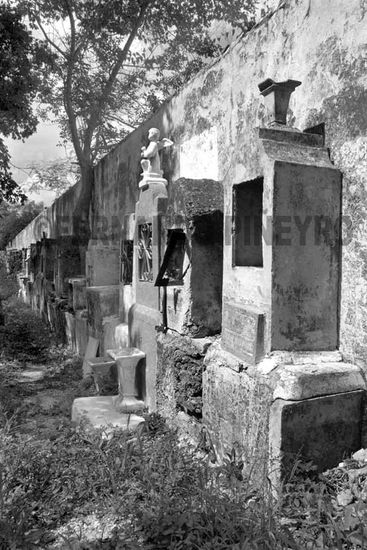 Cementerio IX Other Themes Black and White (Digital)