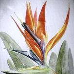 FLORES Y PLANTAS thumbnail 1
