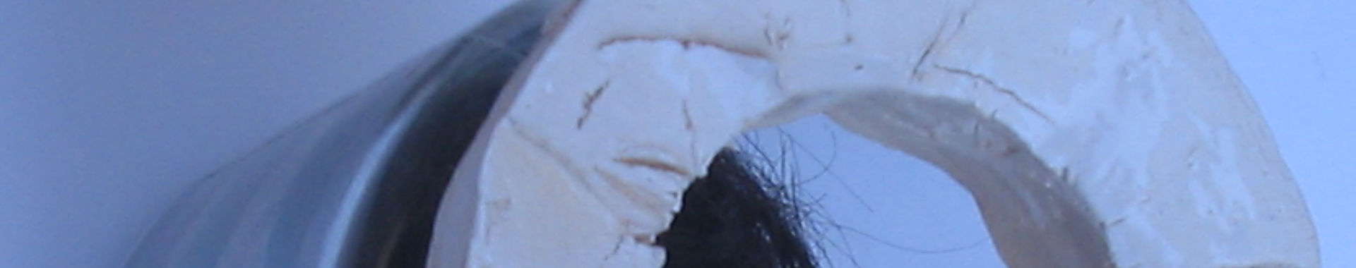 Imagen de portada