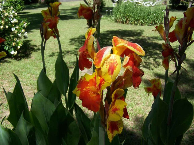 FOTO52