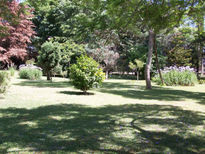 Foto54