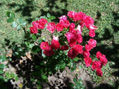 FOTO58