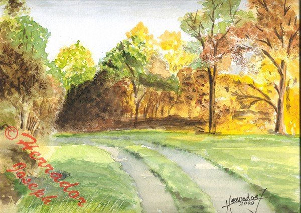 Colores de otoño Watercolour Paper Landscaping