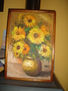girasoles chilenos