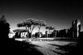 TERMAS DE CARACALLA 1