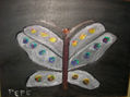 mariposa jigante