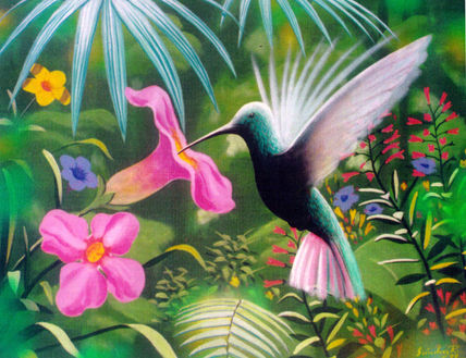 Colibrí
