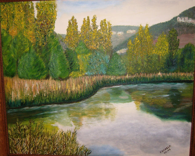 Agua clara Oil Canvas Landscaping