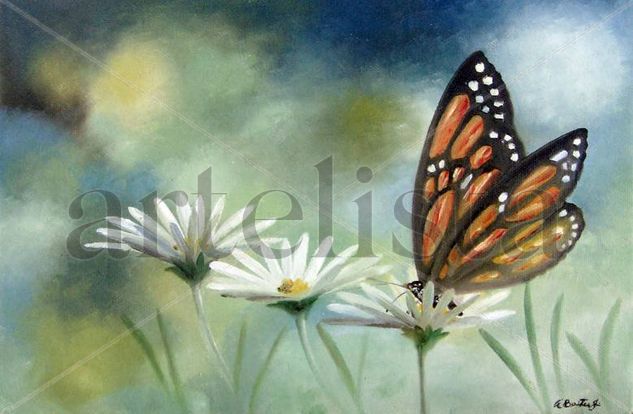 Mariposa apacible Oil Canvas Landscaping