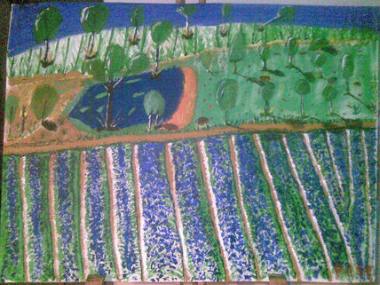 Campo de lavanda