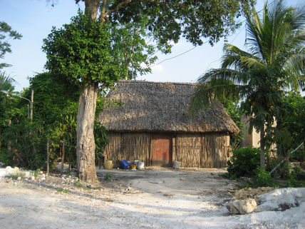 Choza maya