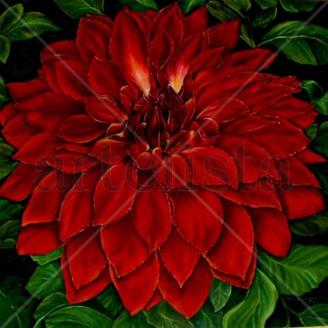 Esplendida