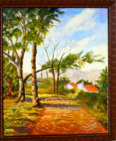 serca del lago SAN ROQUE CORDOBA Oil Canvas Landscaping