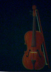 Violin