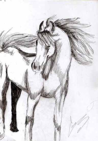 Caballo Pencil