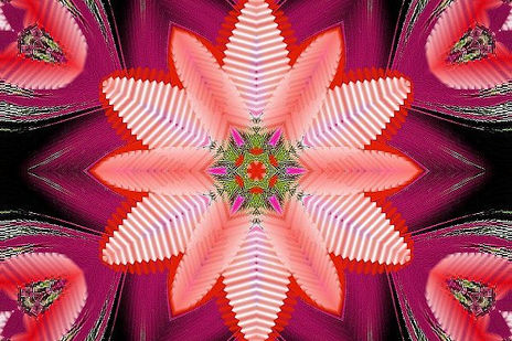 0611