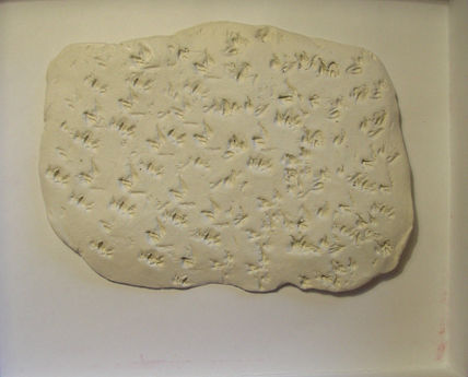 texturaIV