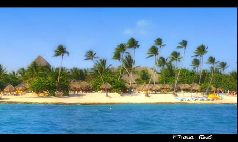 Caribe