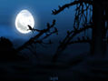 Los cuervos y la Luna