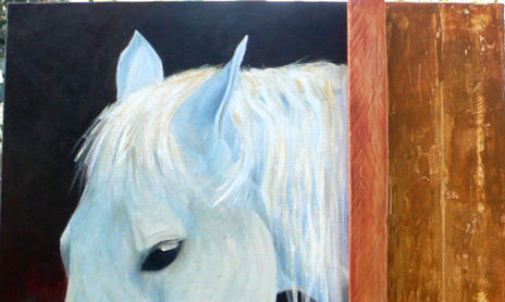 colección CABALLOS