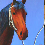 colección CABALLOS thumbnail 1
