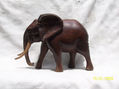 ELEFANTE