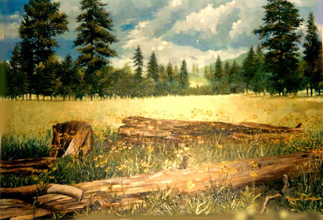 paisaje natural