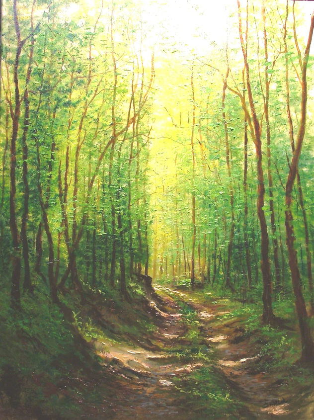 camino de bosque