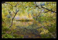 Laguna y color otoñal