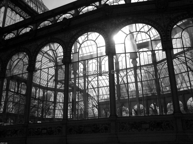 Palacio de Cristal Arquitectura e interiorismo Blanco y Negro (Digital)