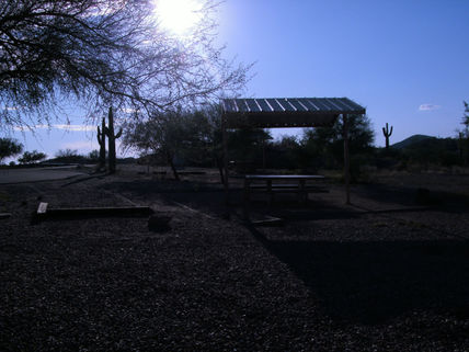 La terrasita
