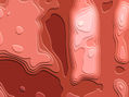 AMORFO CCXXII
