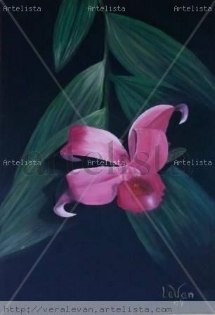 Flor de Un Dia Oil Canvas Landscaping