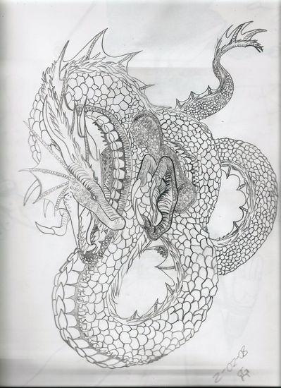 Dragon 